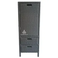 Cabinet Synthetic Rattan with Two Drawers