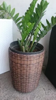 Planter Round 2