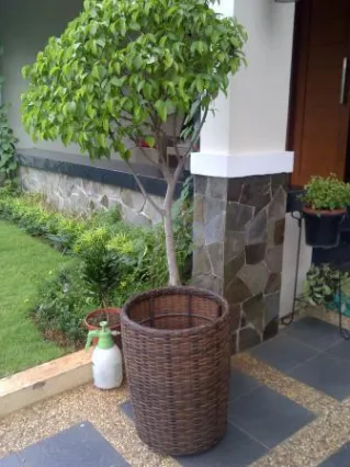 Planter Round 1